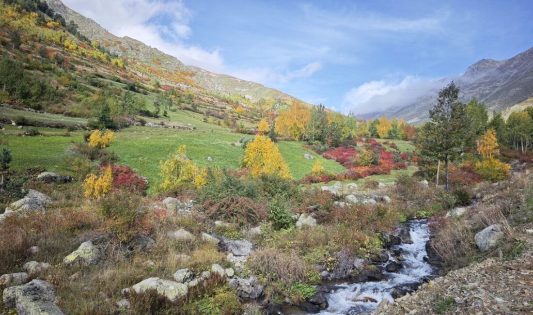 Artvin’in Yusufeli ilçesinde 1900 metre yükseklikteki Bıçakçılar köyü, sonbaharın gelişiyle