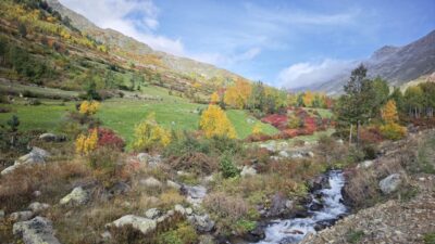 Artvin’in Yusufeli ilçesinde 1900 metre yükseklikteki Bıçakçılar köyü, sonbaharın gelişiyle