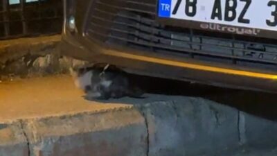 Karabük'te park halindeki bir otomobilin motor kısmından gelen sesleri fark