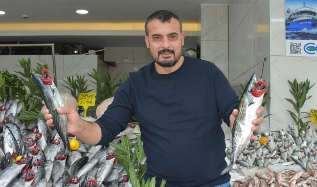Karadeniz'de yüzleri güldüren palamut bereketi devam ediyor. Balıkçılar, uygun fiyatlı