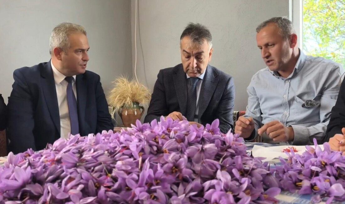 UNESCO Dünya Miras Listesi'ndeki Safranbolu'da, kendi ağırlığının 100 bin katı