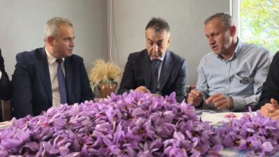UNESCO Dünya Miras Listesi'ndeki Safranbolu'da, kendi ağırlığının 100 bin katı