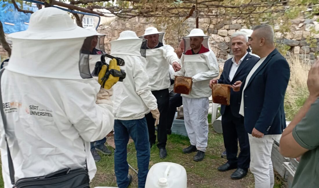 SİİRT / TEKHA Siirt’in Baykan ilçesinde arıcılığın geliştirilmesi, yerel üretimin