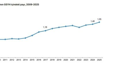 Türkiye İstatistik Kurumu verilerine göre, 2025 yılında gayrisafi yurt içi