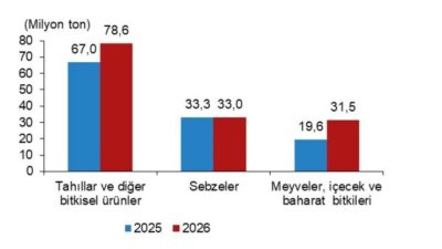 Türkiye İstatistik Kurumu, 2026 yılı ikinci tahminlerine göre tahıl, meyve