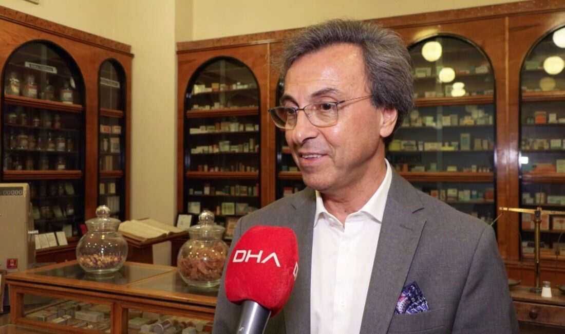 Uzmanlar, doğadan toplanan mantarların zehirli ve yenilebilir türlerinin birbirine çok