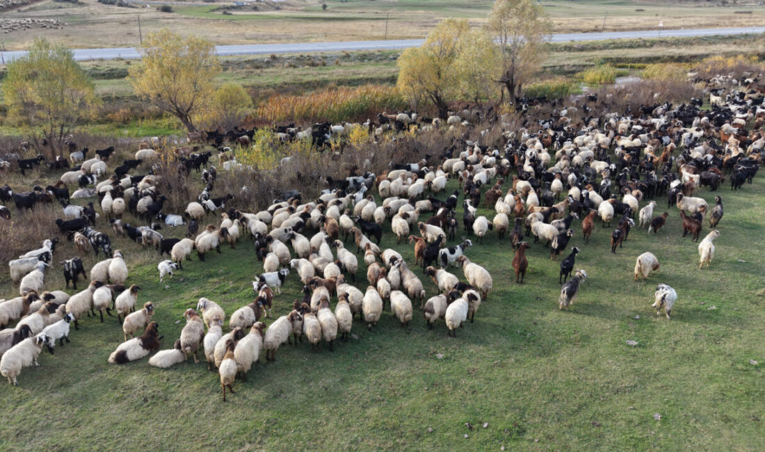 Van ve Bitlis yaylalarında geçirdikleri 6 ayın ardından havaların soğumasıyla