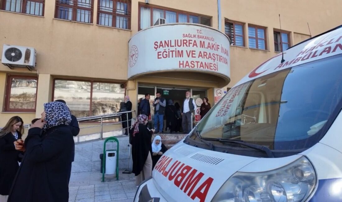 Şanlıurfa'da bir velinin okula getirdiği yaprak sarmasından yiyen 12 öğrenci,
