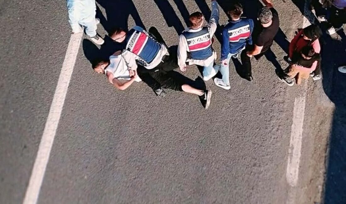 Balıkesir'in Edremit ilçesinde zeytin işçisi kılığında saklanan cezaevi firarisi, jandarmanın